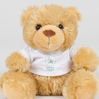 Ripley Court Teddy Bear Thumbnail