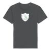 Rocker the essential unisex t-shirt (STTU758) Thumbnail